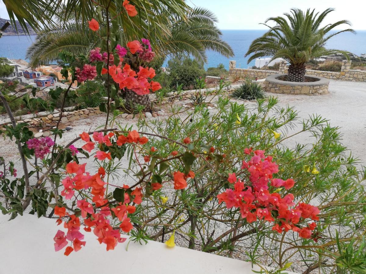 Tranquil Villa With Sea View In Ammopi Karpathos Αμμοοπή Εξωτερικό φωτογραφία